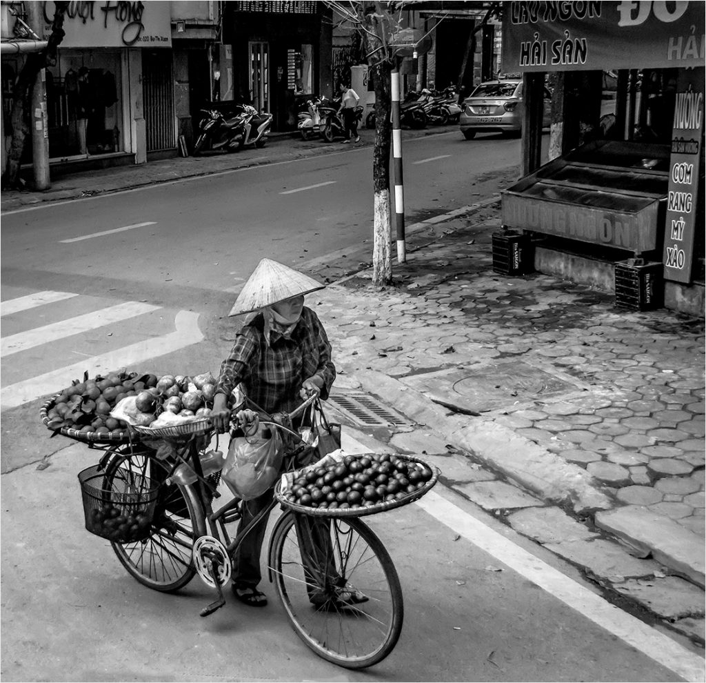 Vietnamese Straatsmous – Willie Labuschagne